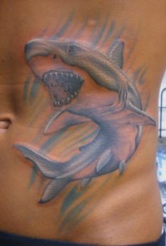カラー サメ