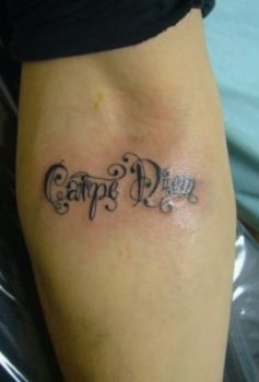 メッセージ carpe diem