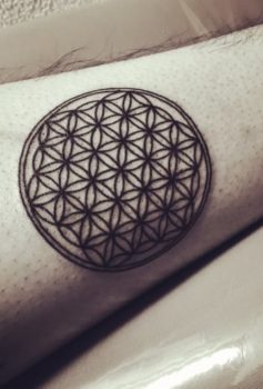 トライバル flower of life