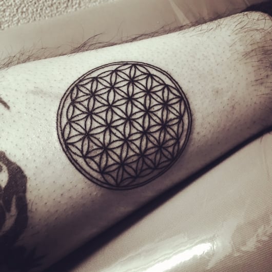 トライバル flower of life