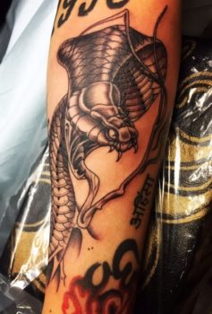 ブラック&グレー コブラ snake