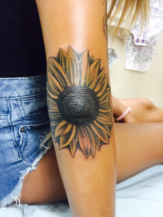 カラー ひまわり sunflower