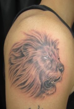 ブラック&グレー ライオン lion